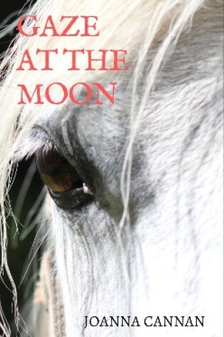 Cover of Gaze at the Moon