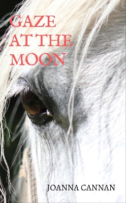 Book cover for Gaze at the Moon