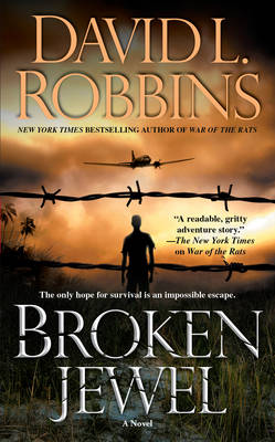 Book cover for Broken Jewel