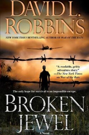 Cover of Broken Jewel