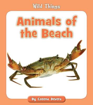 Book cover for Animals of the Beach