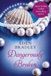 Book cover for Dangerously Broken