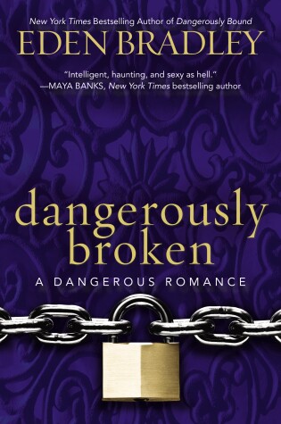 Cover of Dangerously Broken