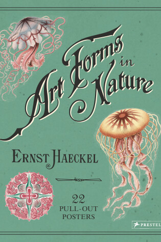 Cover of Ernst Haeckel: Art Forms in Nature: 22 Pull-Out Posters