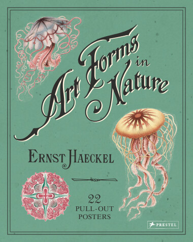 Book cover for Ernst Haeckel: Art Forms in Nature: 22 Pull-Out Posters