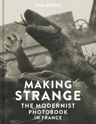 Book cover for Making Strange