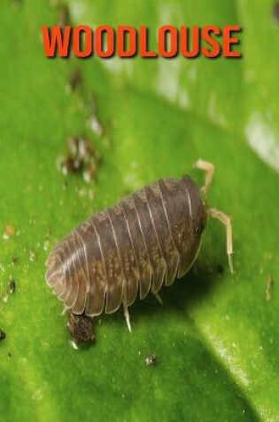 Cover of Woodlouse