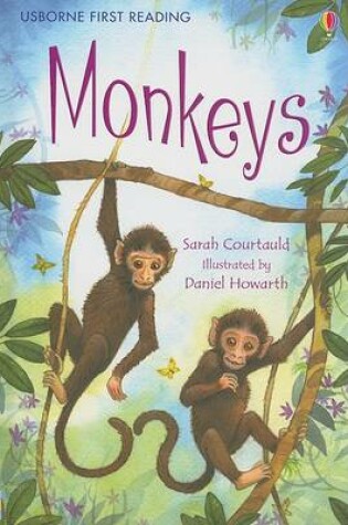 Cover of Monkeys