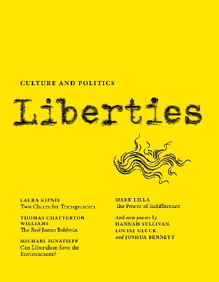 Book cover for Liberties Journal of Culture and Politics