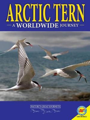 Book cover for Arctic Terns: A Worldwide Journey