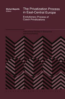 Cover of The Privatization Process in East-Central Europe