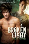 Book cover for A Broken Light