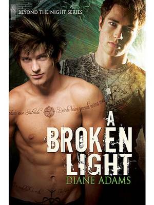 Book cover for A Broken Light