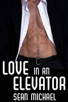 Book cover for Love in an Elevator