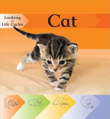 Cover of Cat