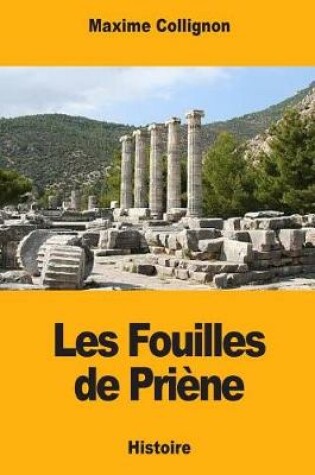 Cover of Les Fouilles de Pri ne