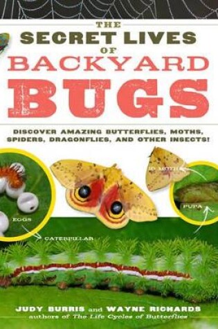 Cover of The Secret Lives of Backyard Bugs