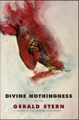 Cover of Divine Nothingness