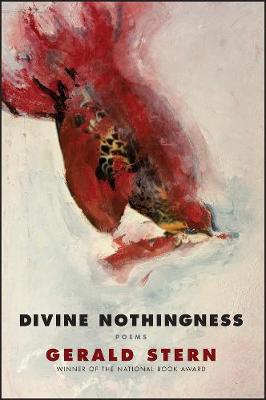 Book cover for Divine Nothingness