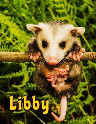 Book cover for Libby