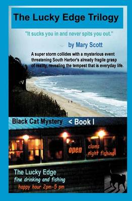 Book cover for The Black Cat Mystery