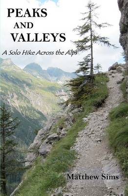 Book cover for Peaks and Valleys