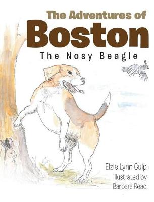 Cover of The Adventures of Boston