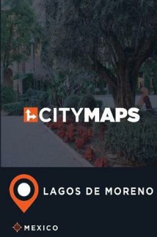 Cover of City Maps Lagos de Moreno Mexico