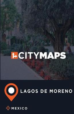 Book cover for City Maps Lagos de Moreno Mexico