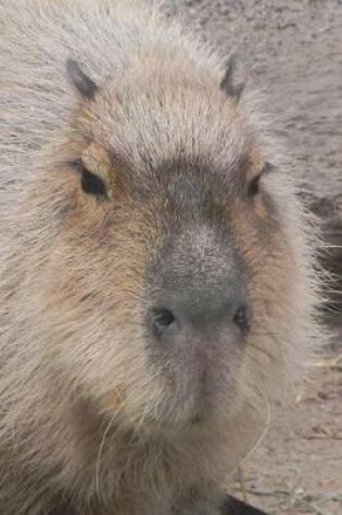 Cover of Say Hello to the Capybara Journal