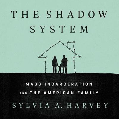 Book cover for The Shadow System