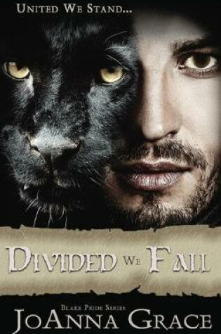 Cover of Divided We Fall