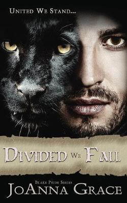 Book cover for Divided We Fall