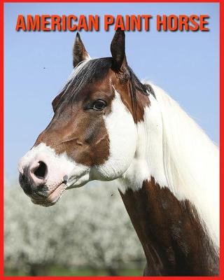 Book cover for American Paint Horse