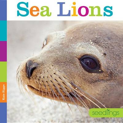 Book cover for Seedlings Sea Lions