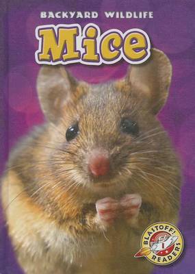 Book cover for Mice