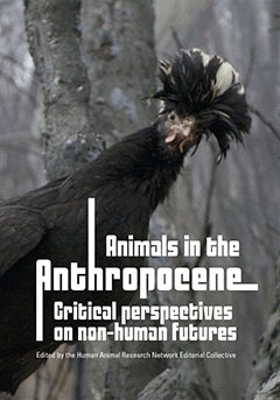 Book cover for Animals in the Anthropocene