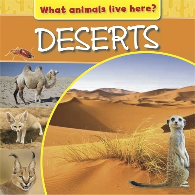 Book cover for What Animals Live Here?: Deserts