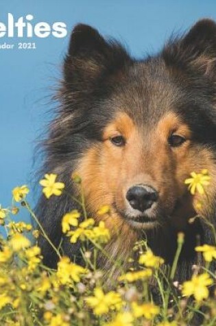 Cover of Shelties Calendar 2021