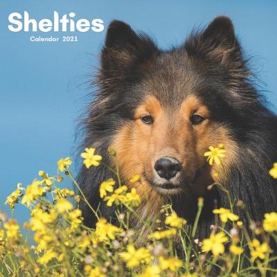 Book cover for Shelties Calendar 2021