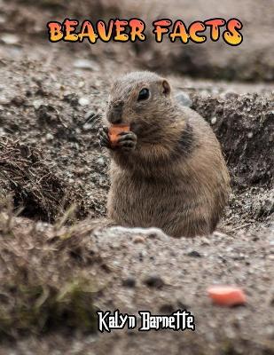 Book cover for Beaver Facts