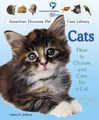 Book cover for Cats