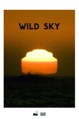 Cover of Wild Sky