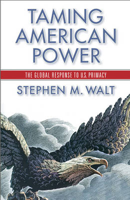 Book cover for Taming American Power