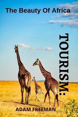 Book cover for Tourism