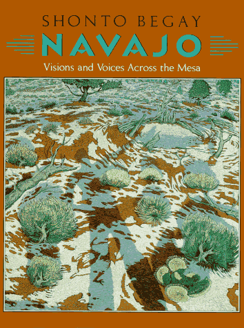 Book cover for Navajo