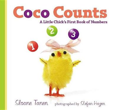 Book cover for Coco Counts