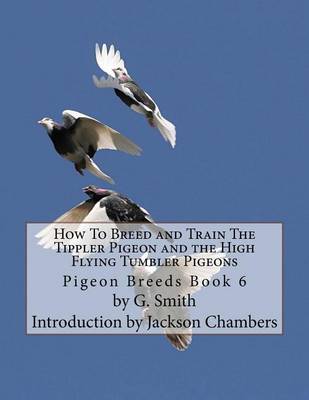 Book cover for How To Breed and Train The Tippler Pigeon and the High Flying Tumbler Pigeons