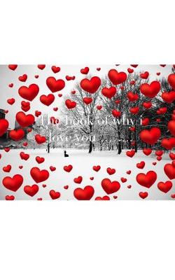 Book cover for Valentine's winter wonderland red hearts creative blank book why I love you