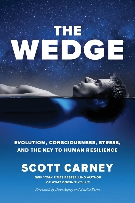 Book cover for The Wedge
